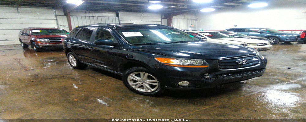 5NMSKDAG9AH373299 2010 HYUNDAI SANTA FE photo no. 15