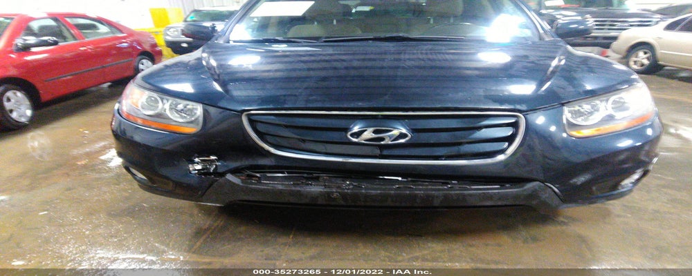 5NMSKDAG9AH373299 2010 HYUNDAI SANTA FE photo no. 6