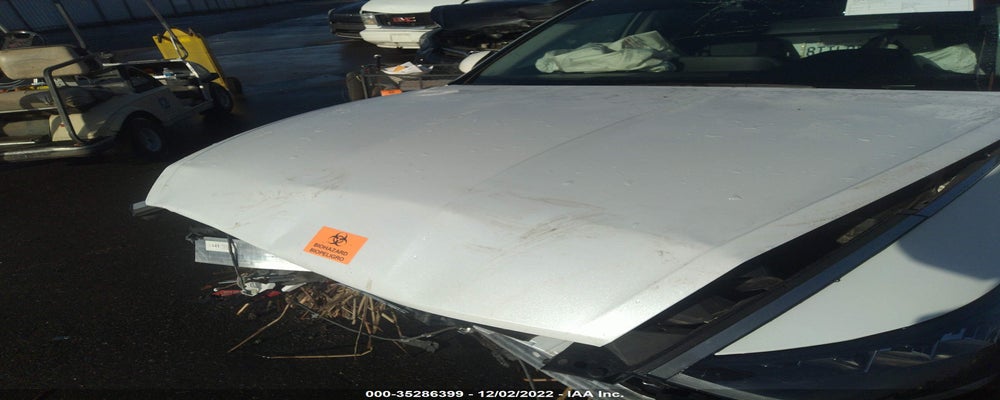 5NPEG4JA0LH062294 2020 HYUNDAI SONATA photo no. 10