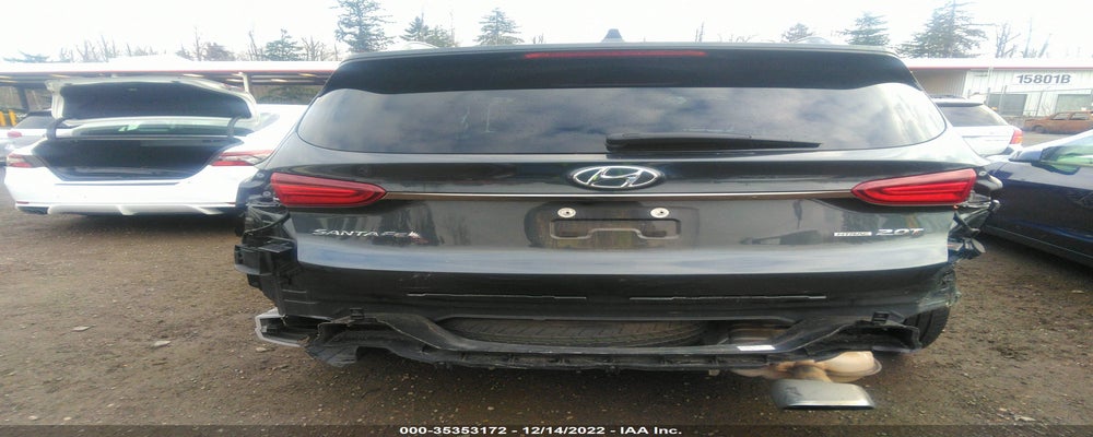 5NMS5CAA0LH299318 2020 HYUNDAI SANTA FE photo no. 6