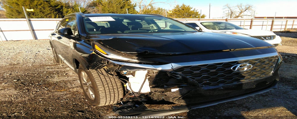 5NMS3CAD9LH209731 2020 HYUNDAI SANTA FE photo no. 6