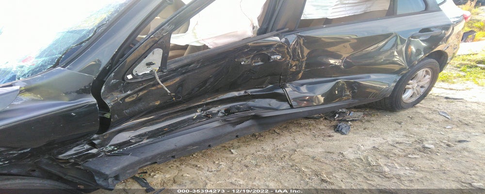 5NMSG3AB2AH338944 2010 HYUNDAI SANTA FE photo no. 6