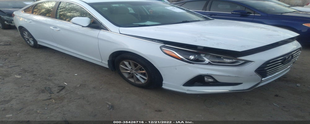 5NPE24AF1KH806316 2019 HYUNDAI SONATA photo no. 7