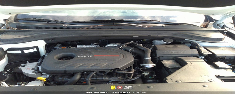 5NMS33AA5LH193923 2020 HYUNDAI SANTA FE photo no. 10