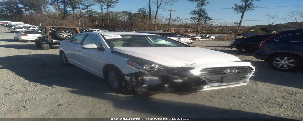 5NPE24AF9KH801896 2019 HYUNDAI SONATA photo no. 18