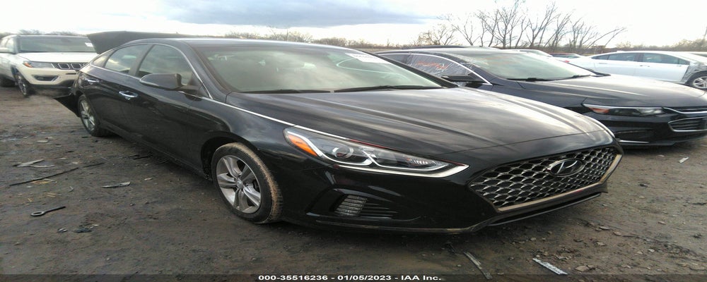 5NPE34AF5KH764505 2019 HYUNDAI SONATA photo no. 16