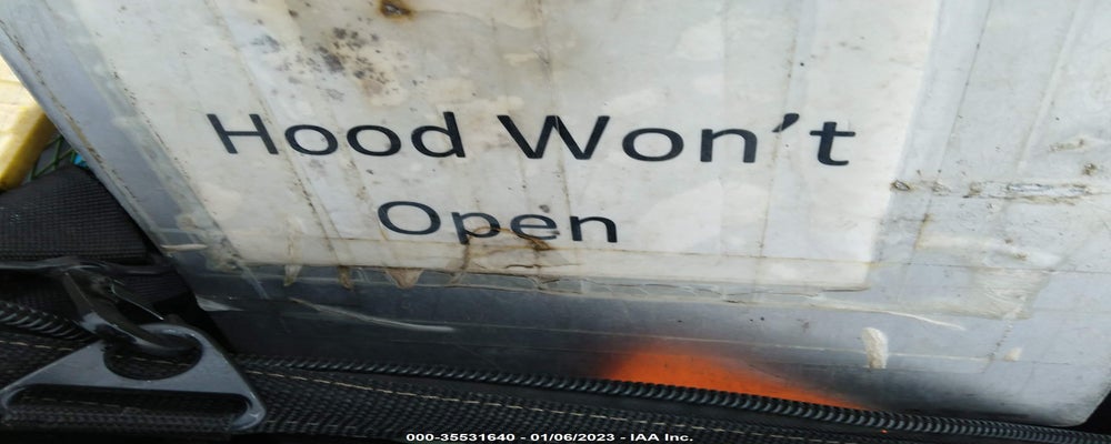 5NPDH4AE5GH726557 2016 HYUNDAI ELANTRA photo no. 10