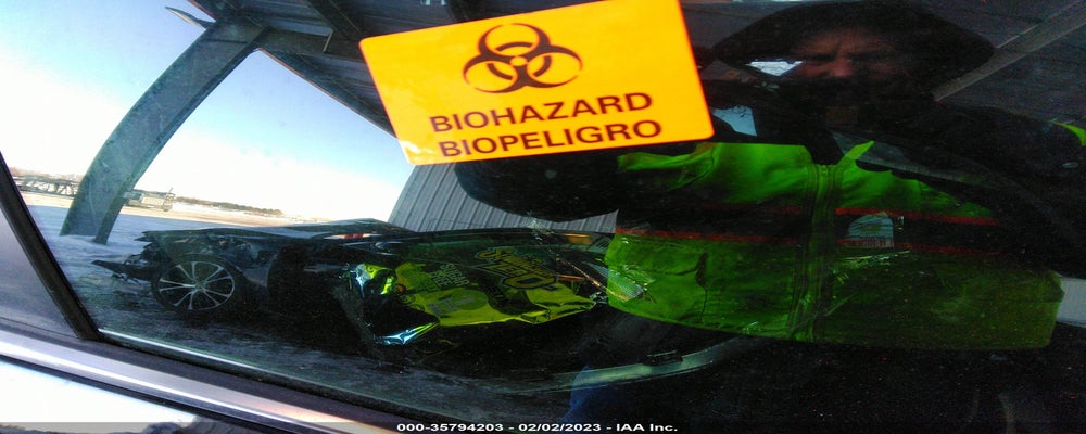 KMHC75LC4LU188476 2020 HYUNDAI IONIQ photo no. 5