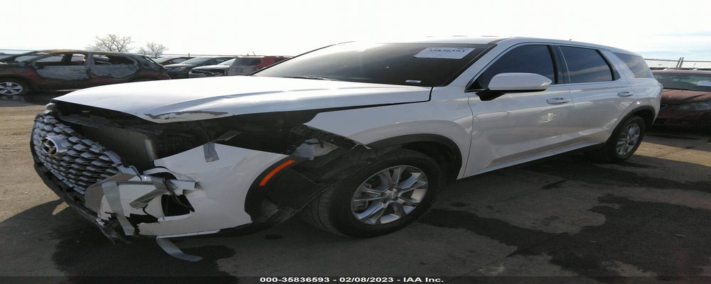 KM8R1DHE7MU206454 2021 HYUNDAI PALISADE photo no. 2