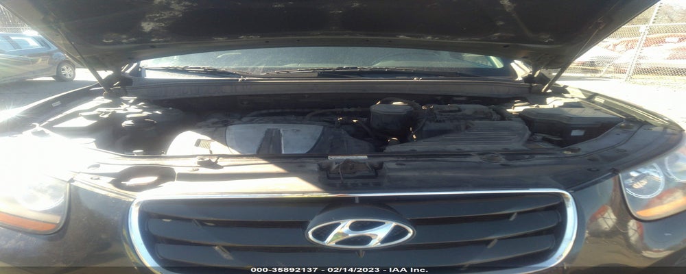 5NMSHDAG2AH345939 2010 HYUNDAI SANTA FE photo no. 10