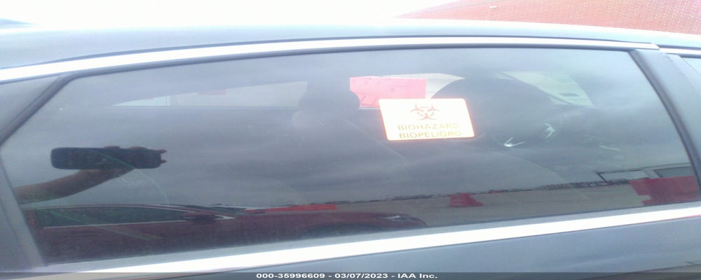 5NPE34AF1KH791989 2019 HYUNDAI SONATA photo no. 8