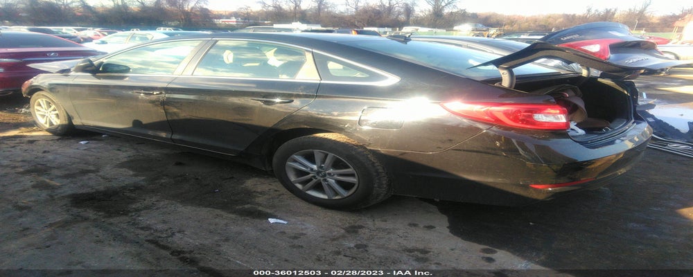 5NPE24AF5GH350540 2016 HYUNDAI SONATA photo no. 3