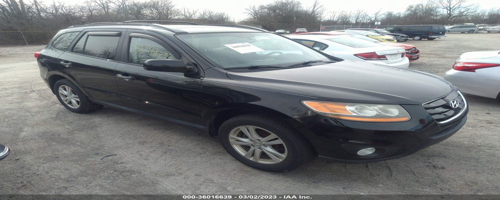 5NMSKDAG7AH355920 2010 HYUNDAI SANTA FE photo no. 6