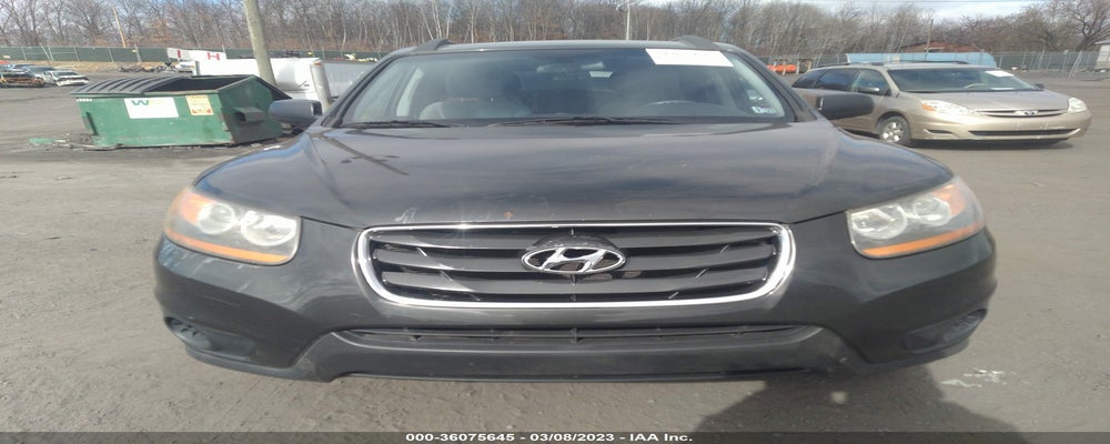 5NMSGDAB3AH350123 2010 HYUNDAI SANTA FE photo no. 6