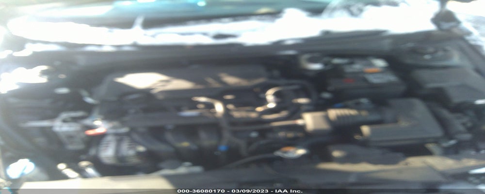 5NPLS4AG8PH093731 2023 HYUNDAI ELANTRA photo no. 10