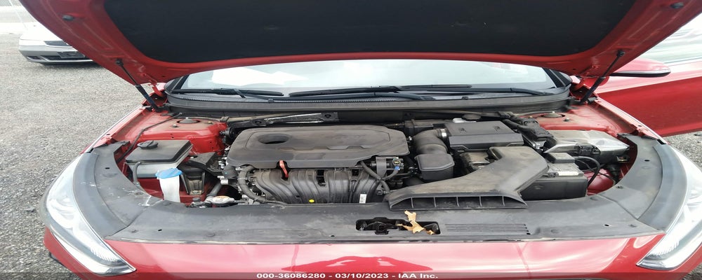 5NPE34AF4KH808364 2019 HYUNDAI SONATA photo no. 10