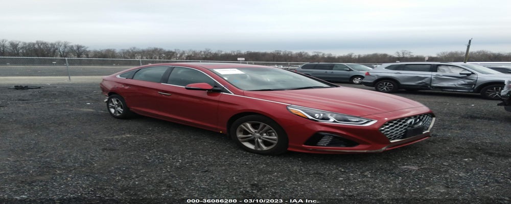 5NPE34AF4KH808364 2019 HYUNDAI SONATA photo no. 7