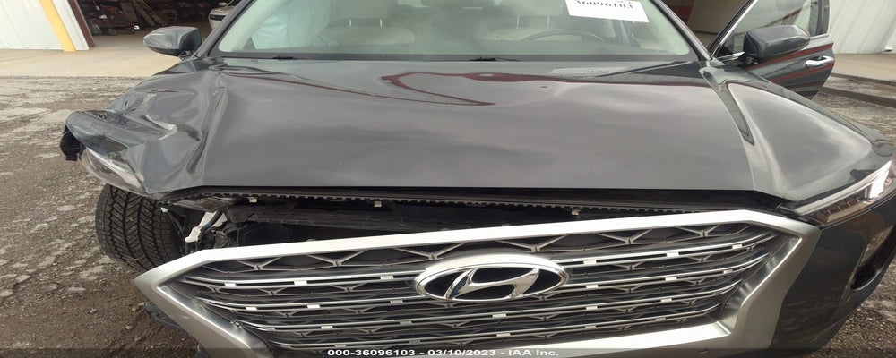 KM8R5DHE7LU114666 2020 HYUNDAI PALISADE photo no. 10