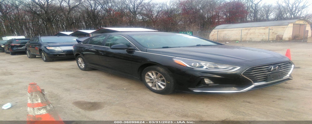 5NPE24AF0KH756623 2019 HYUNDAI SONATA photo no. 14