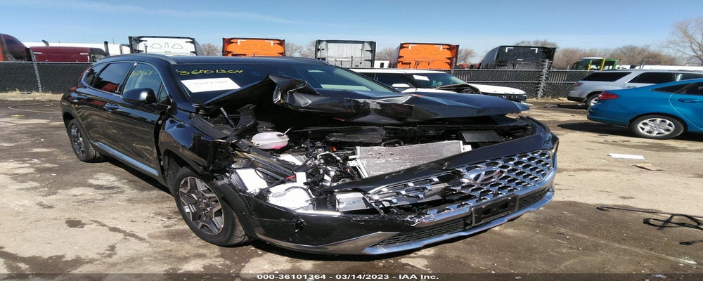 5NMS4DAL5PH535915 2023 HYUNDAI SANTA FE photo no. 6