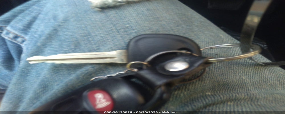 5NPD84LF8KH478190 2019 HYUNDAI ELANTRA photo no. 11