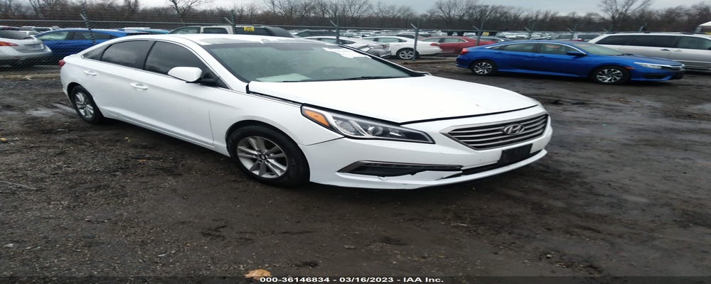 5NPE24AF5FH010612 2015 HYUNDAI SONATA photo no. 13