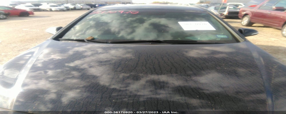 5NPE34AB8HH576499 2017 HYUNDAI SONATA photo no. 6