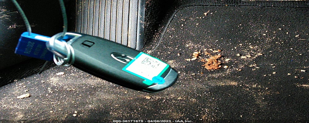 KMHLM4AG9MU068537 2021 HYUNDAI ELANTRA photo no. 11