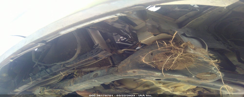 KMHDU4ADXAU883447 2010 HYUNDAI ELANTRA photo no. 6