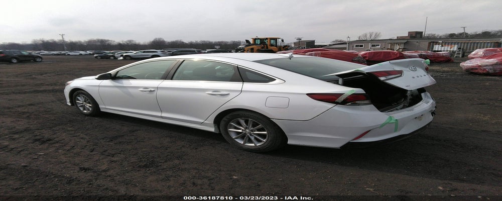 5NPE24AF4KH787986 2019 HYUNDAI SONATA photo no. 3