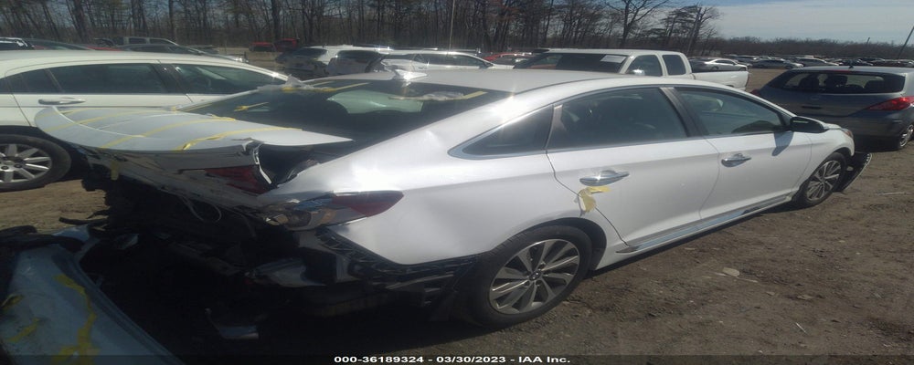 5NPE34AF7HH495299 2017 HYUNDAI SONATA photo no. 4