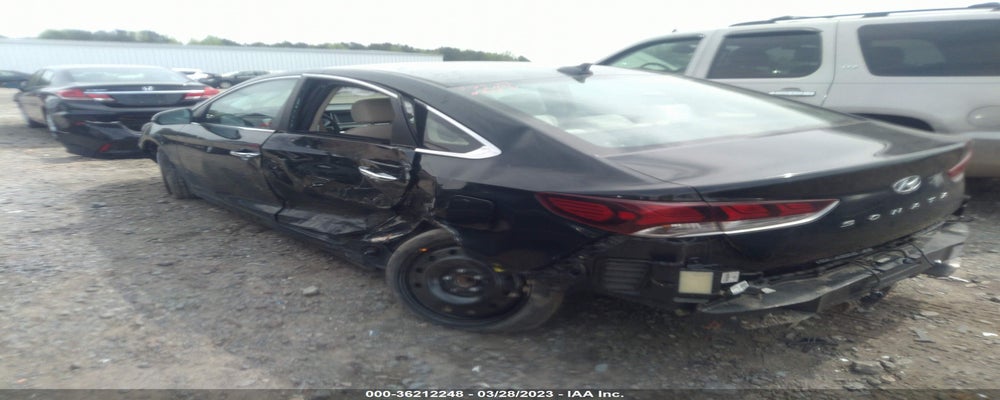 5NPE34AF7KH758706 2019 HYUNDAI SONATA photo no. 6