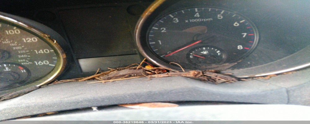 KMHHT6KD3BU056731 2011 HYUNDAI GENESIS COUPE photo no. 7