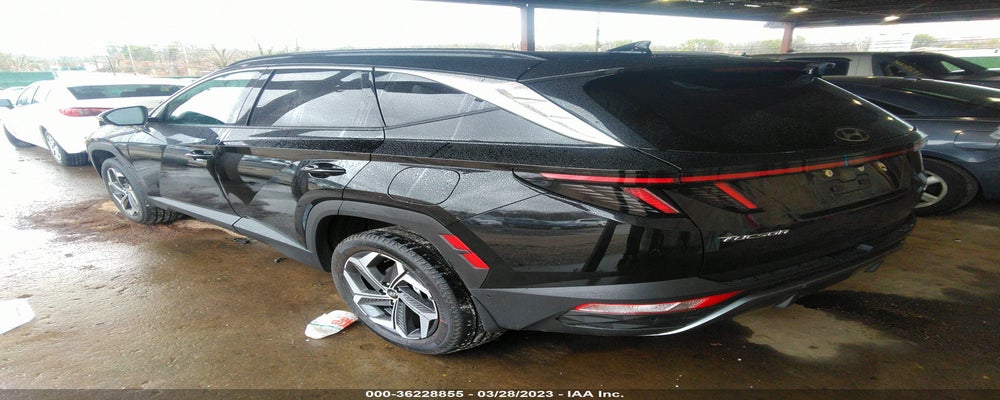 5NMJECAE0PH231234 2023 HYUNDAI TUCSON photo no. 3