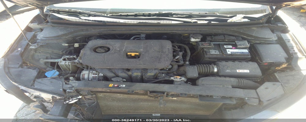 5NPD74LF4KH455640 2019 HYUNDAI ELANTRA photo no. 10