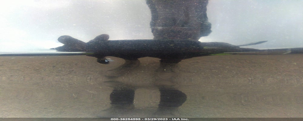 KMHDH4AE8EU166628 2014 HYUNDAI ELANTRA photo no. 6