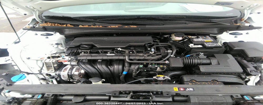 5NPLS4AG3PH097900 2023 HYUNDAI ELANTRA photo no. 10