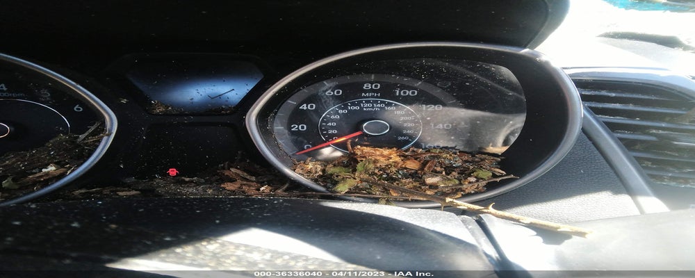 5NPDH4AE8GH773663 2016 HYUNDAI ELANTRA photo no. 7