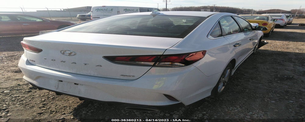 5NPE34AF6KH731593 2019 HYUNDAI SONATA photo no. 4