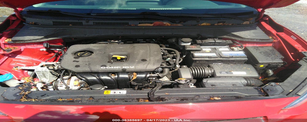 KM8K6CAA6KU325372 2019 HYUNDAI KONA photo no. 10