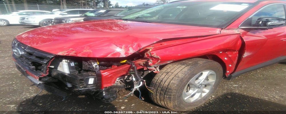 5NMJBCAE0PH175126 2023 HYUNDAI TUCSON photo no. 6