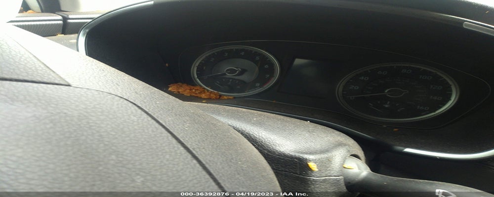 5NMS2CAD4LH277521 2020 HYUNDAI SANTA FE photo no. 7