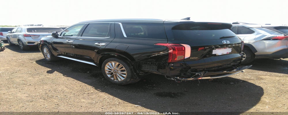 KM8R5DHE2LU122612 2020 HYUNDAI PALISADE photo no. 3