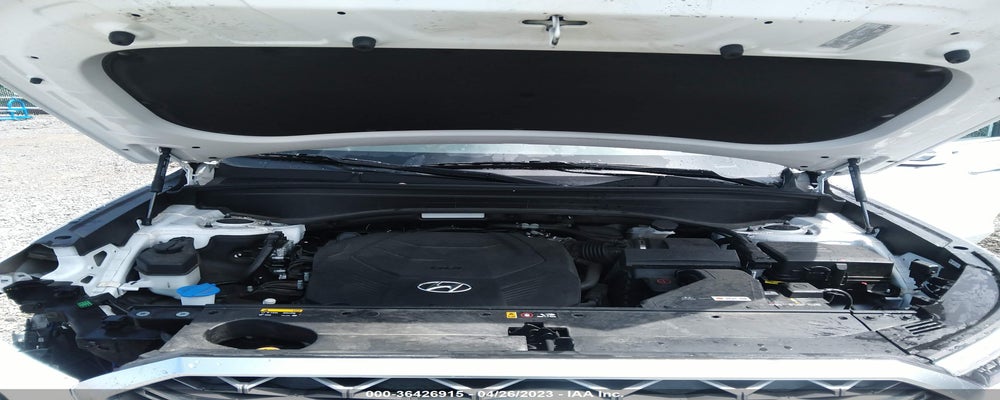 KM8R5DHE9LU128861 2020 HYUNDAI PALISADE photo no. 10