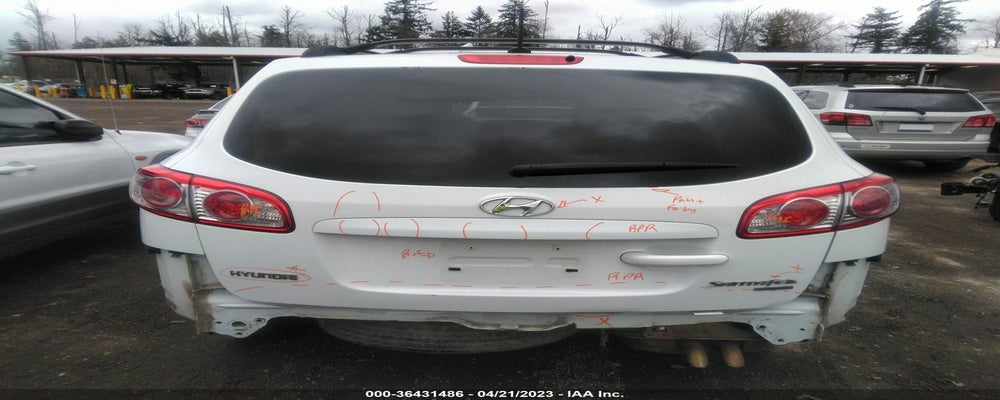 5NMSGDAB9AH353429 2010 HYUNDAI SANTA FE photo no. 6