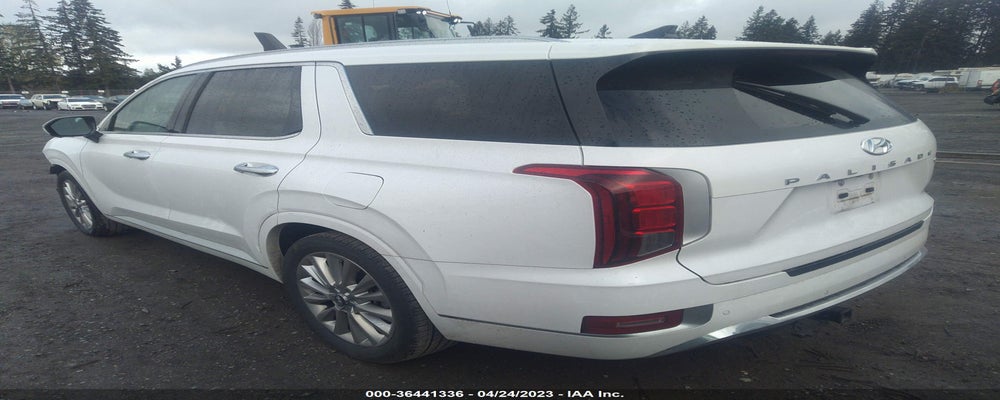 KM8R5DHE8LU111985 2020 HYUNDAI PALISADE photo no. 3