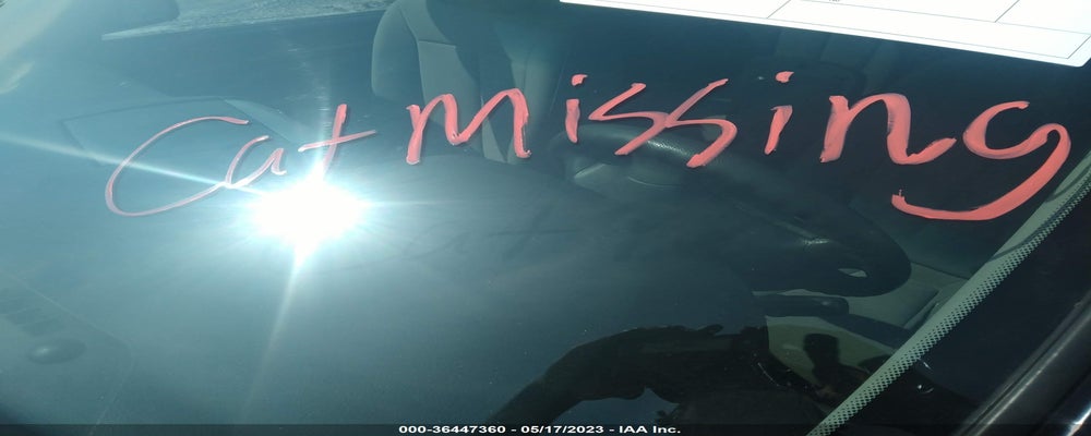 5NMSG3AB5AH354491 2010 HYUNDAI SANTA FE photo no. 6