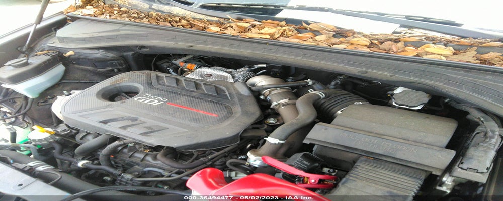 5NMS33AA9LH220248 2020 HYUNDAI SANTA FE photo no. 10