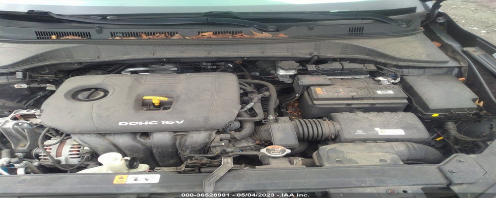 KM8K2CAA8KU343626 2019 HYUNDAI KONA photo no. 10