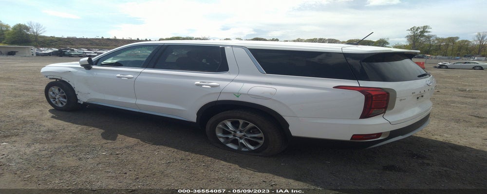 KM8R1DHE3MU253495 2021 HYUNDAI PALISADE photo no. 3